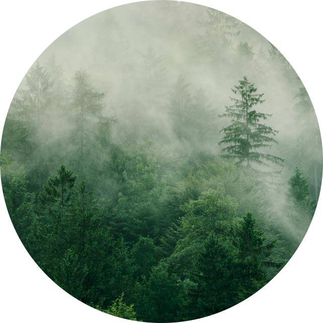 شرکت ابزار پزشکی Yangzhou Suxiang ، Ltd.